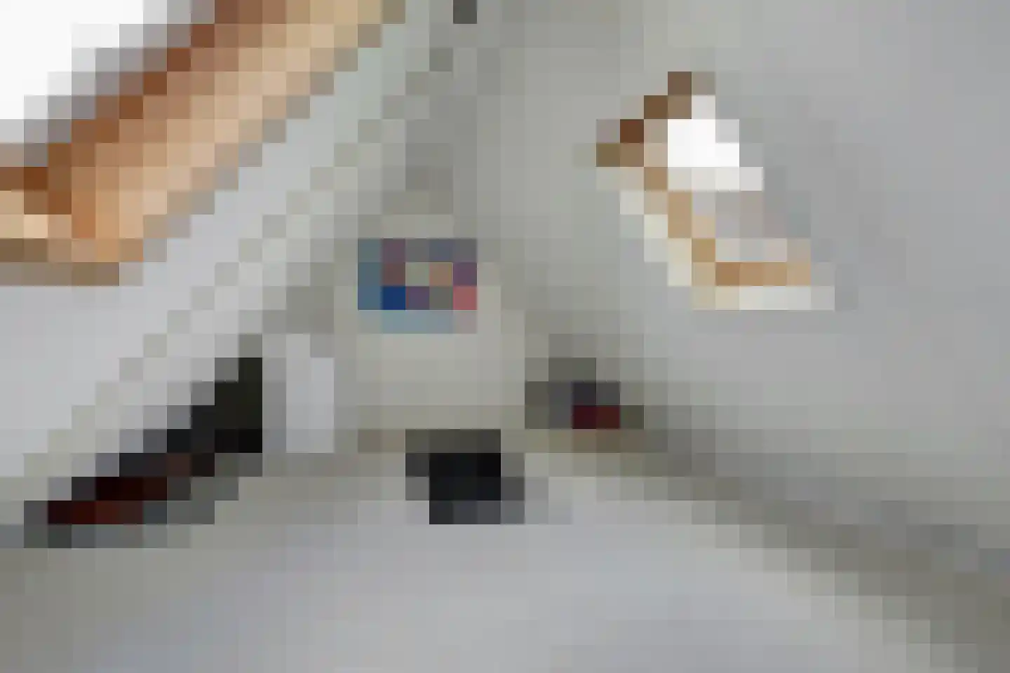Linge Singel 1 Lienden thumbnail 32