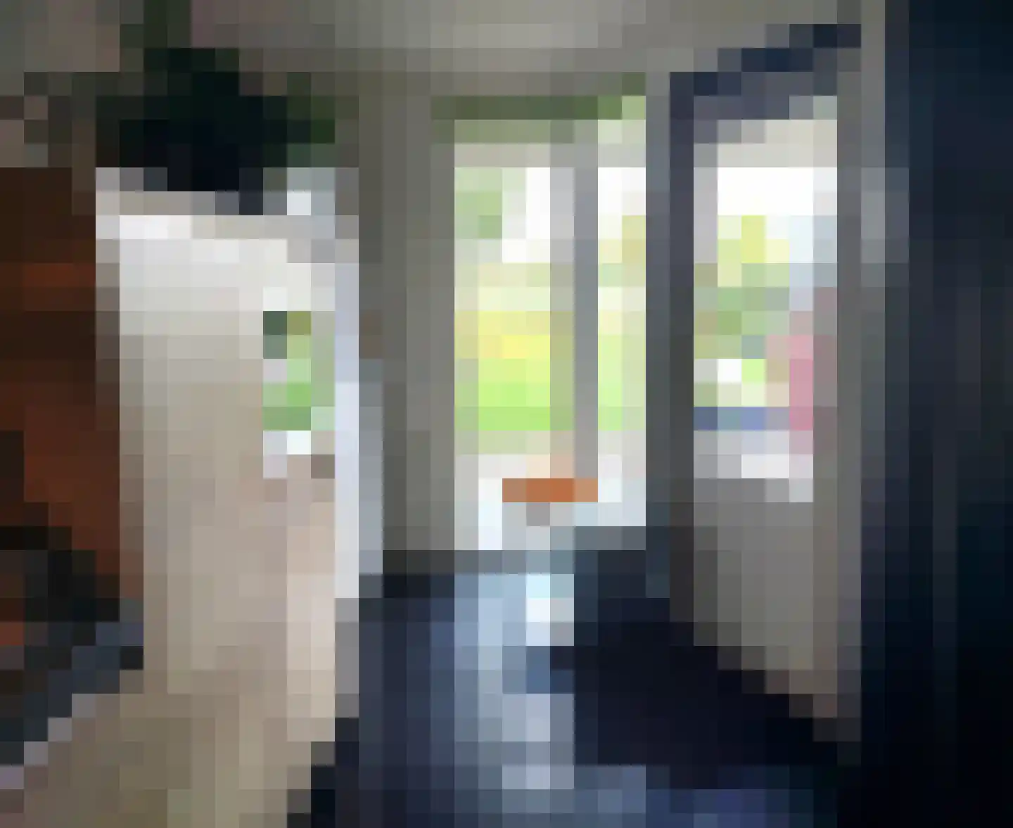 Linge Singel 1 Lienden thumbnail 36
