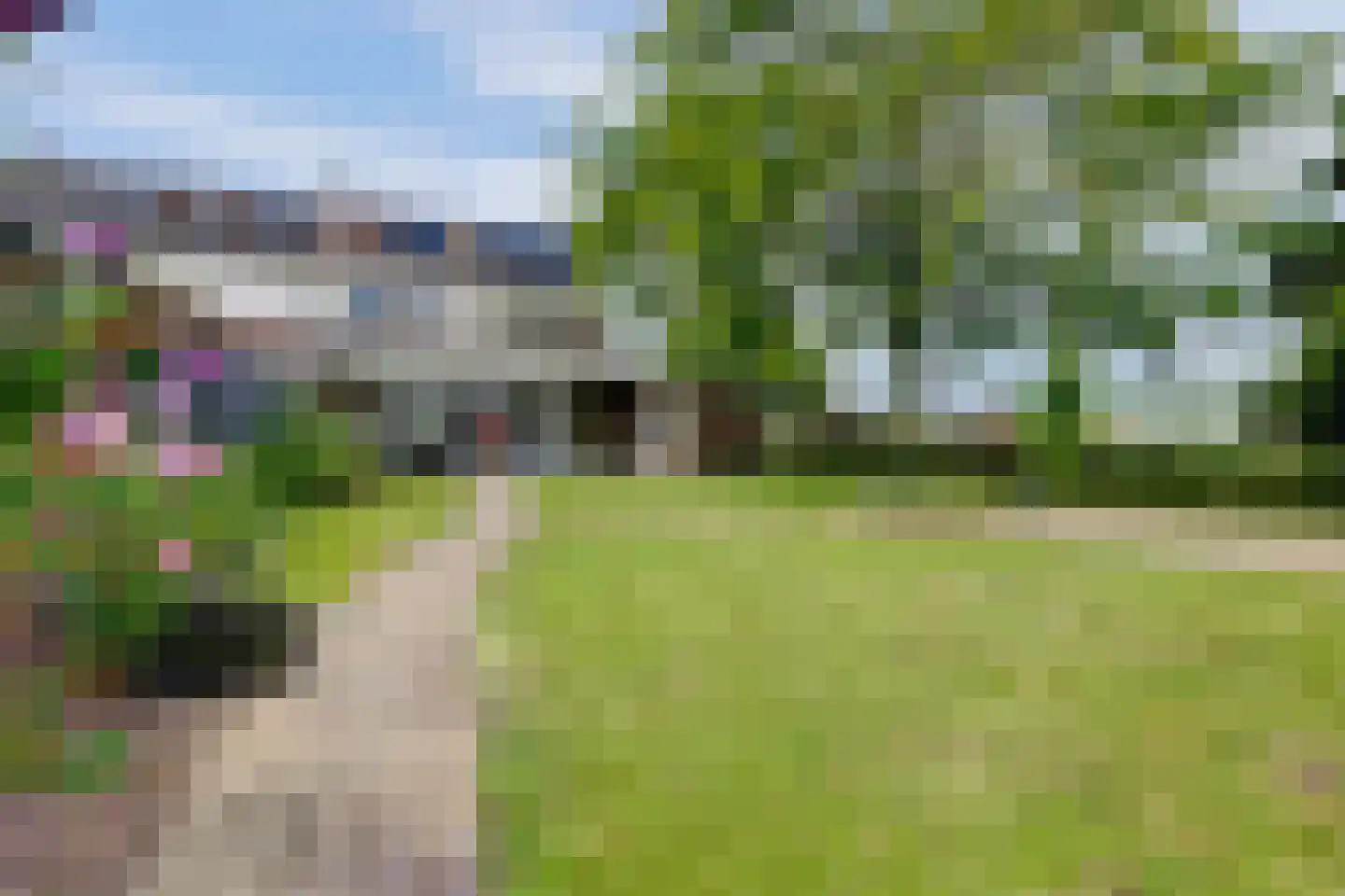 Linge Singel 1 Lienden thumbnail 38