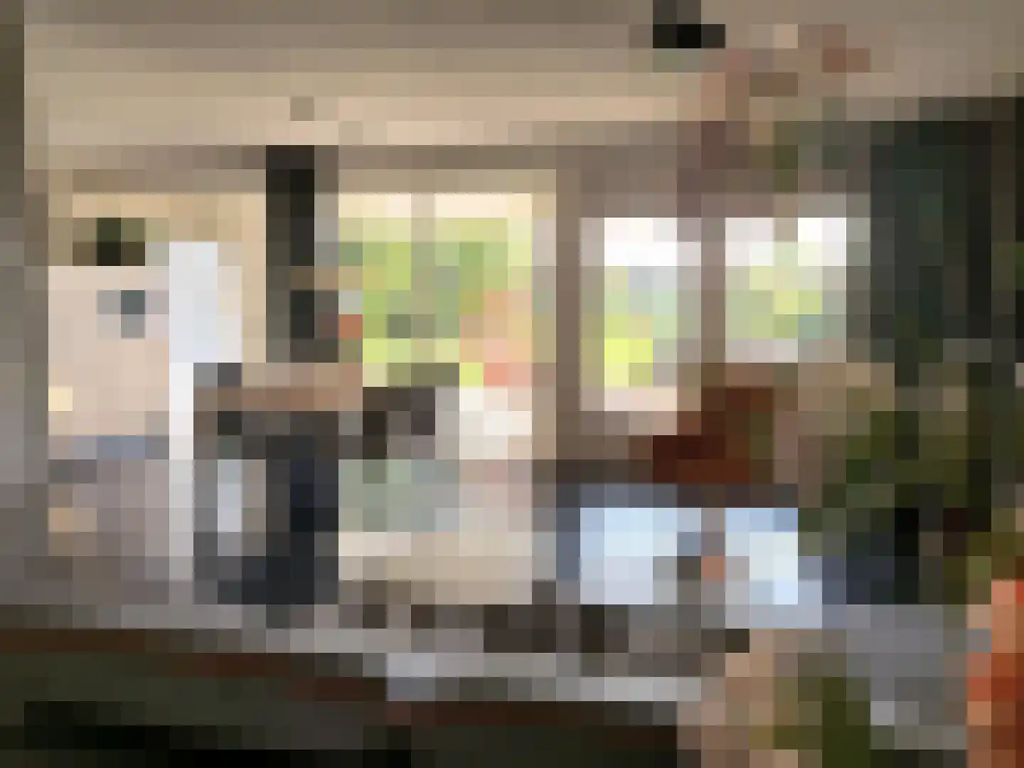 Linge Singel 1 Lienden thumbnail 6