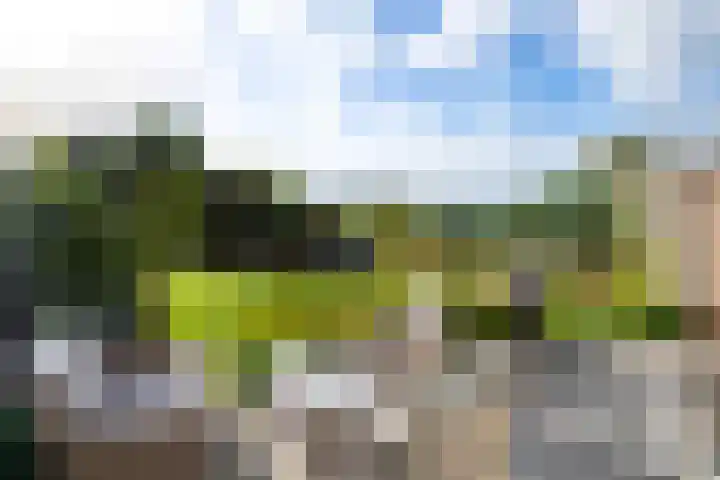 Linge Singel 19 Lienden thumbnail 45