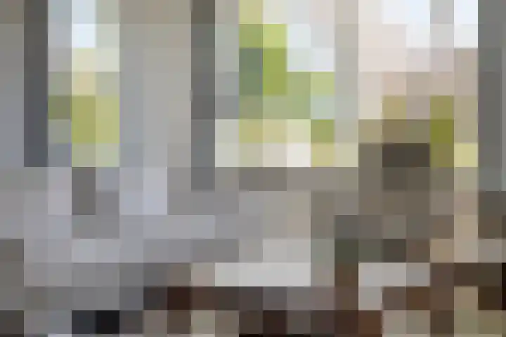 Linge Singel 28 Lienden thumbnail 16