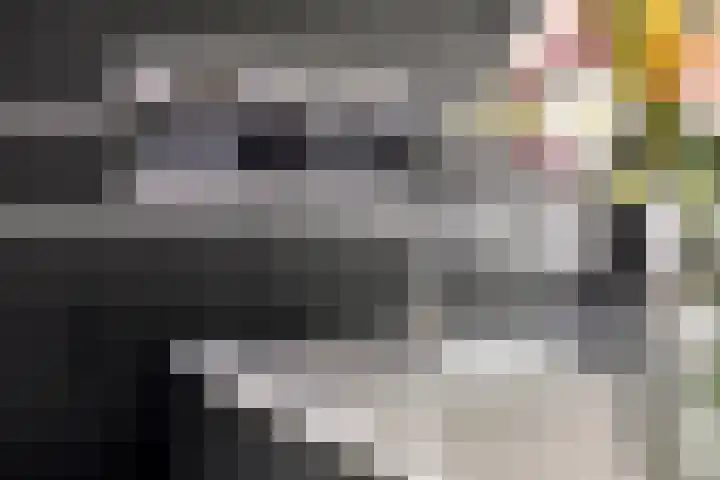 Linge Singel 28 Lienden thumbnail 19