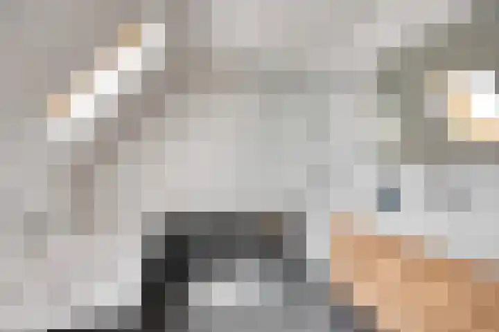 Linge Singel 28 Lienden thumbnail 4