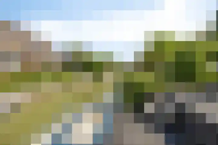 Linge Singel 28 Lienden thumbnail 42