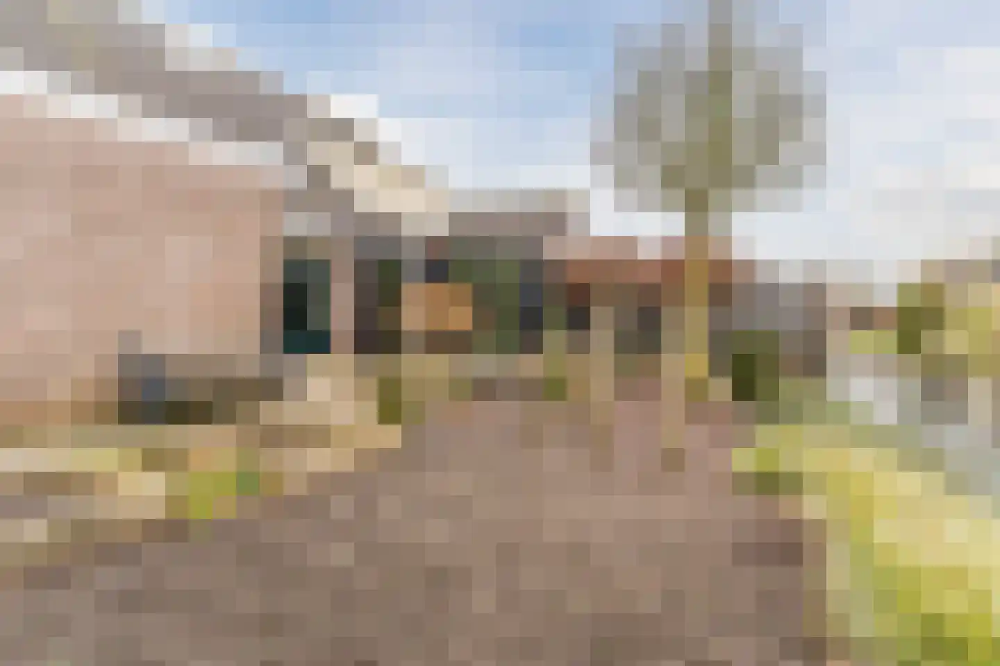 Linge Singel 6 Lienden thumbnail 30