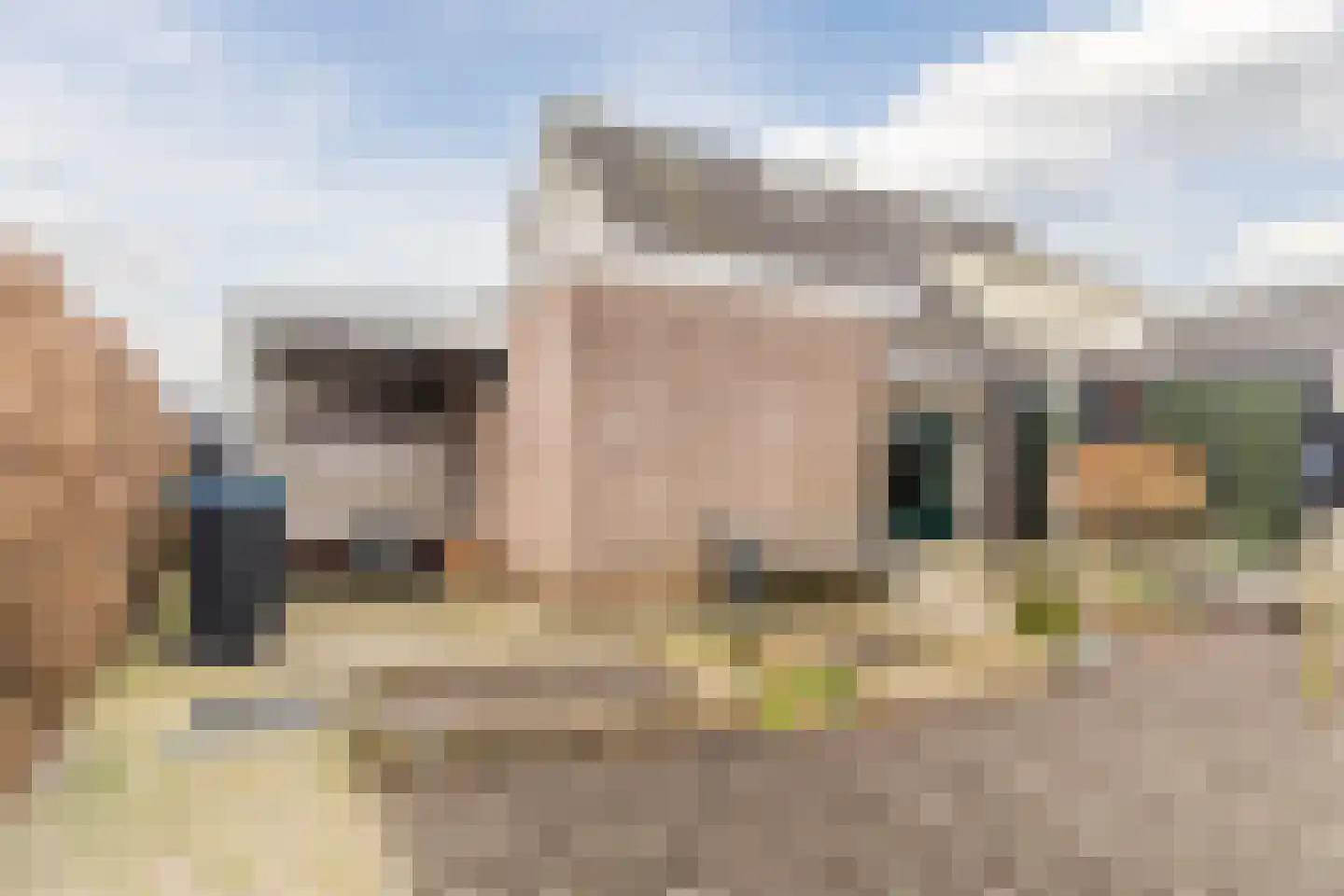 Linge Singel 6 Lienden thumbnail 31
