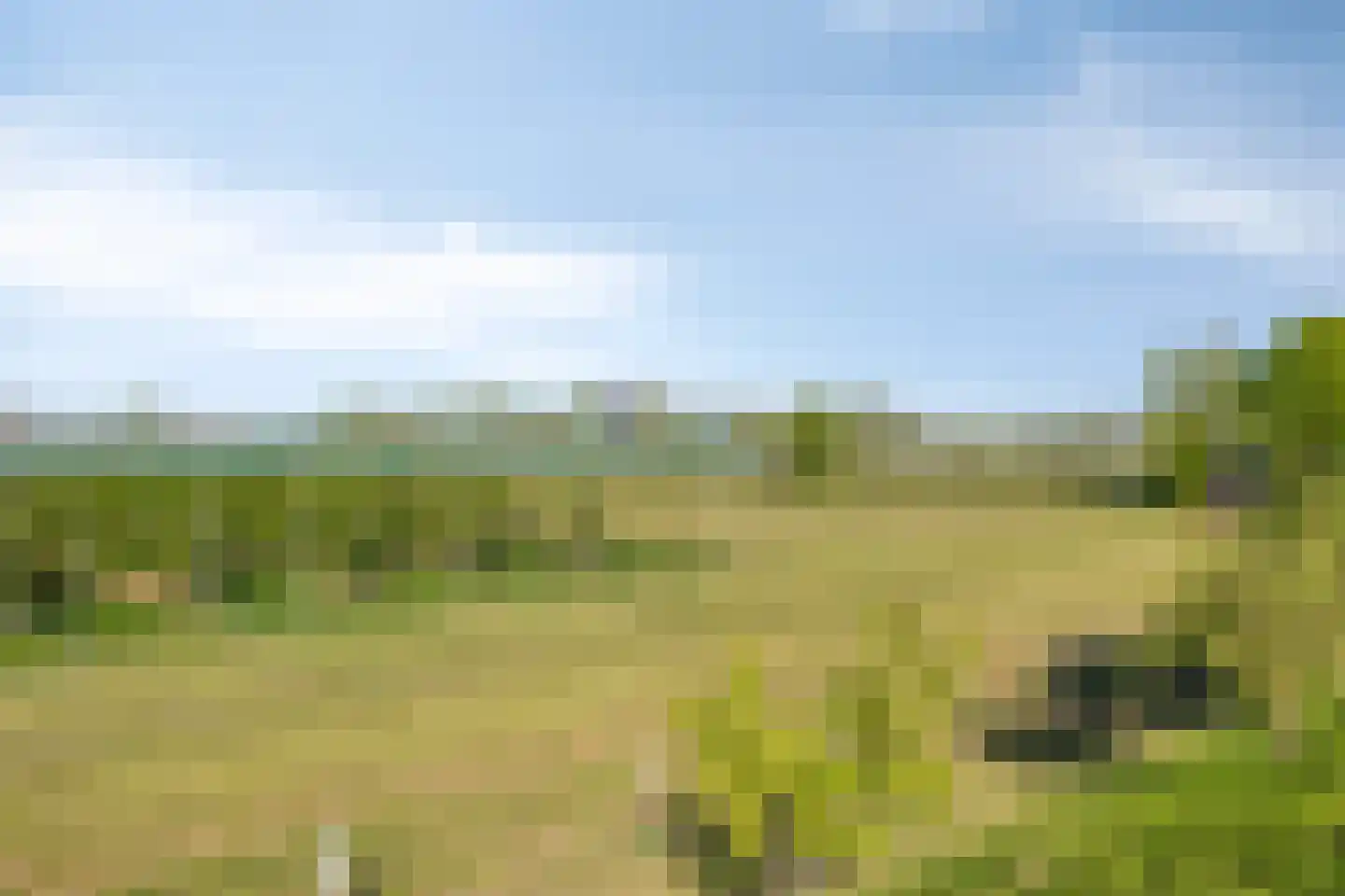 Lingedijk 101 Geldermalsen thumbnail 39