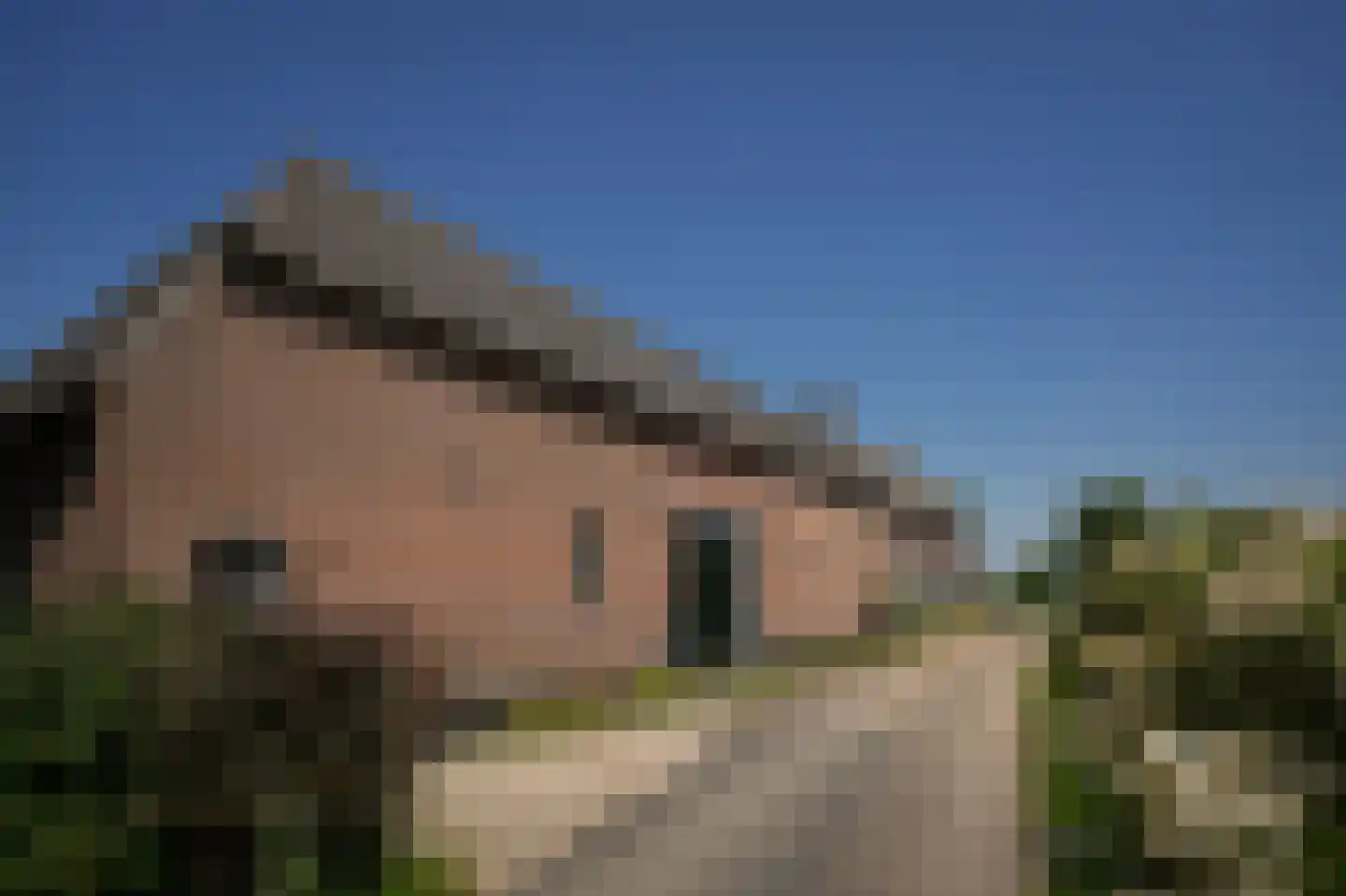 Lingedijk 110 Acquoy thumbnail 47
