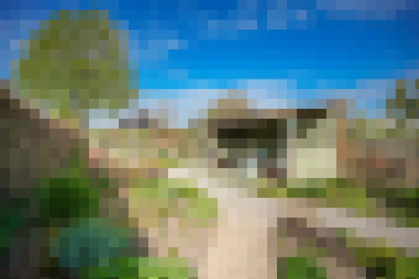 Lingedijk 121 Geldermalsen thumbnail 30