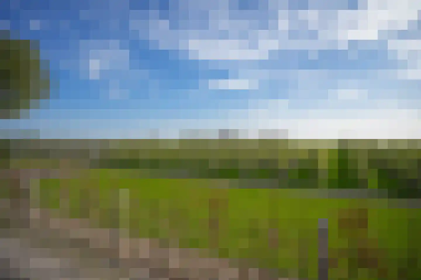 Lingedijk 121 Geldermalsen thumbnail 49