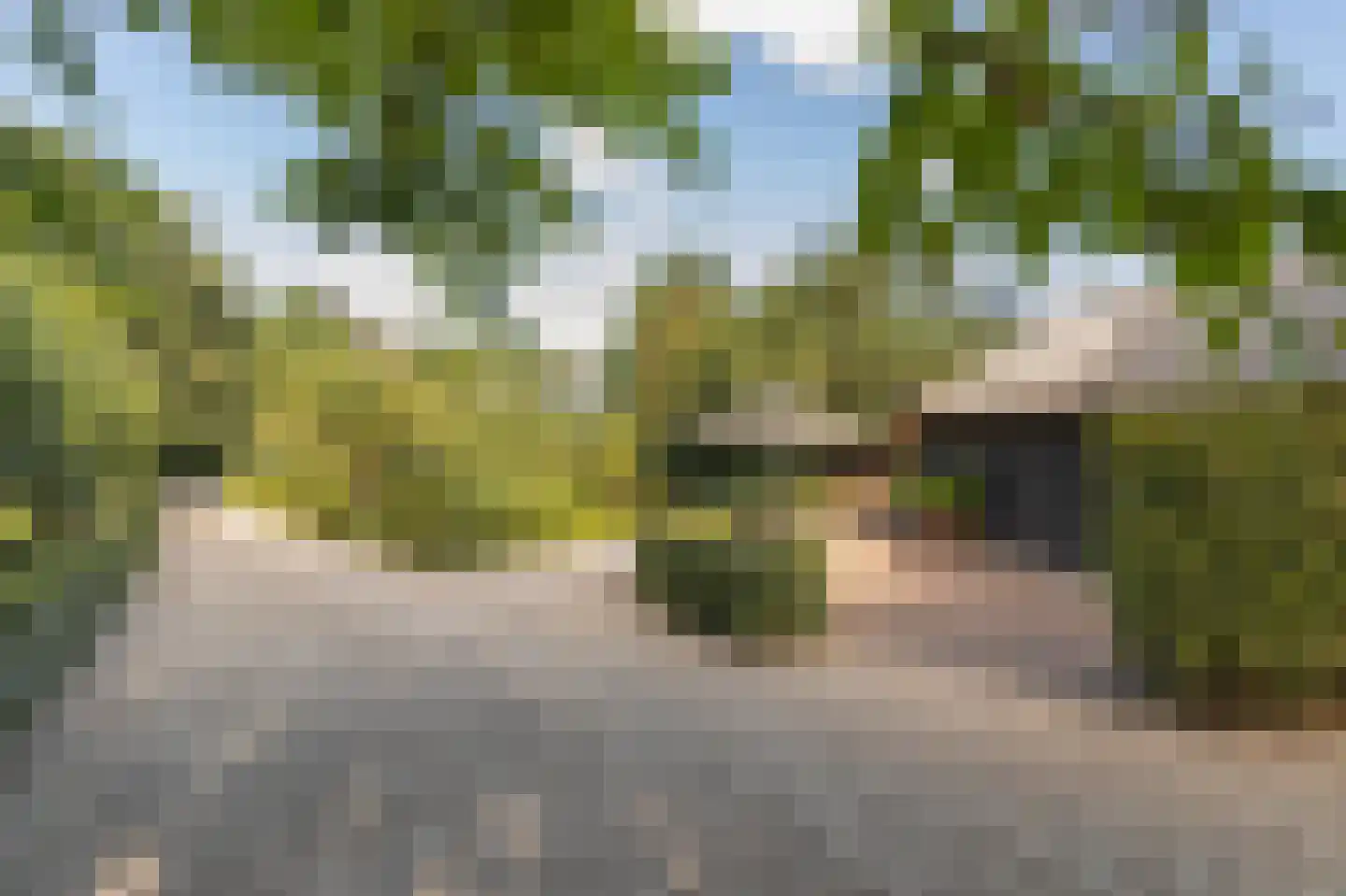 Lingedijk 122 Acquoy thumbnail 15