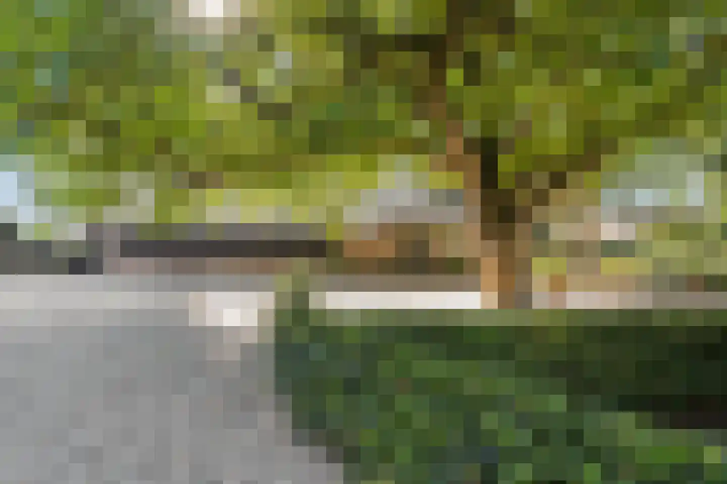 Lingedijk 122 Acquoy thumbnail 62