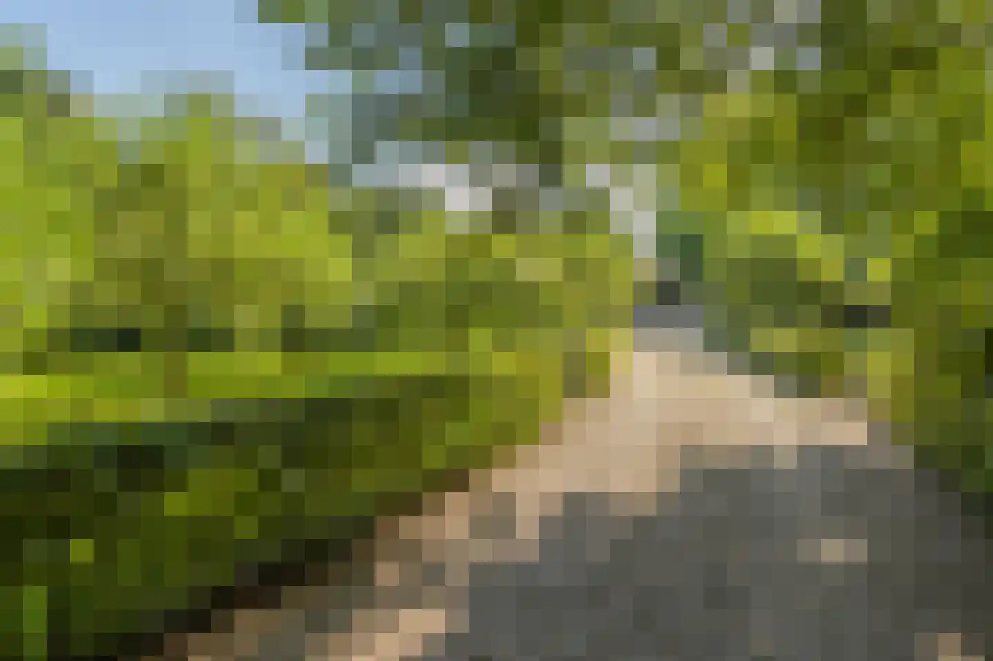 Lingedijk 122 Acquoy thumbnail 65