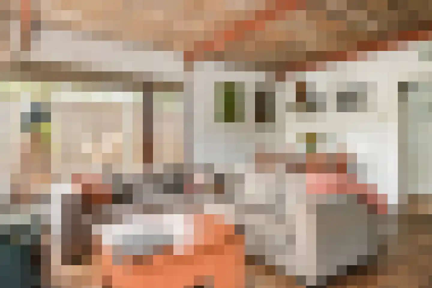 Lingedijk 127 Geldermalsen thumbnail 10