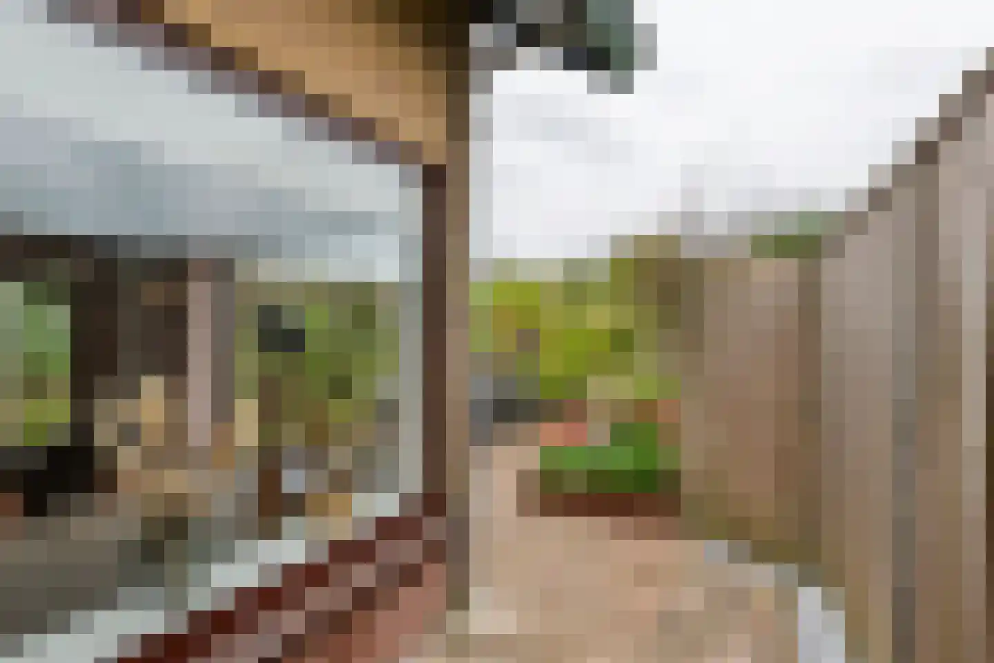 Lingedijk 127 Geldermalsen thumbnail 33