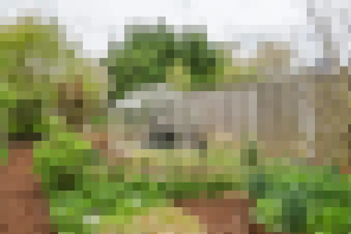 Lingedijk 127 Geldermalsen thumbnail 36