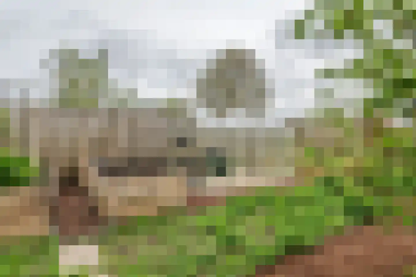 Lingedijk 127 Geldermalsen thumbnail 37