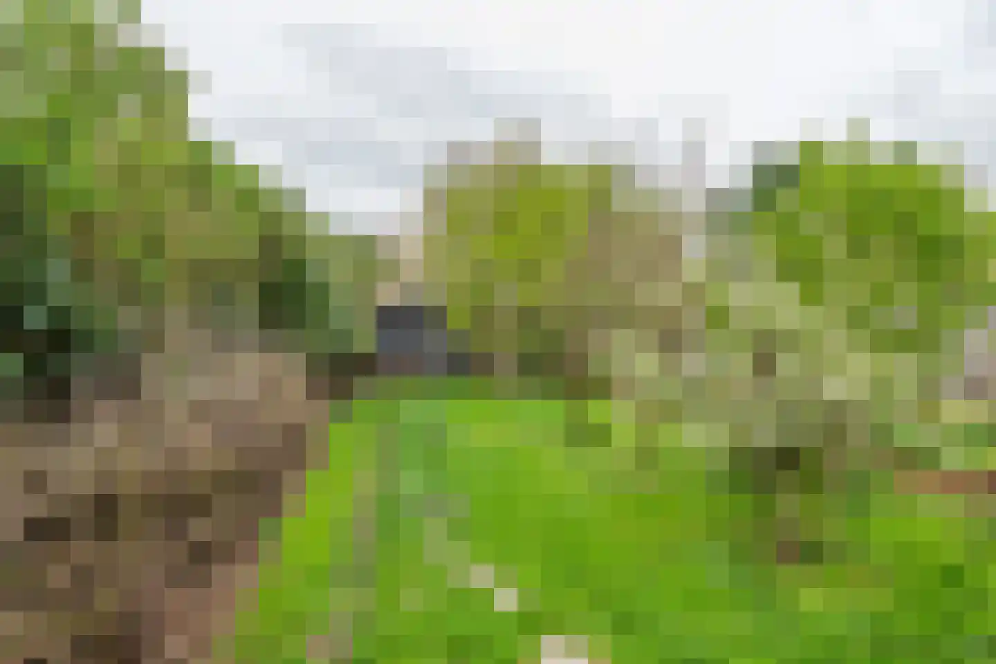 Lingedijk 127 Geldermalsen thumbnail 38