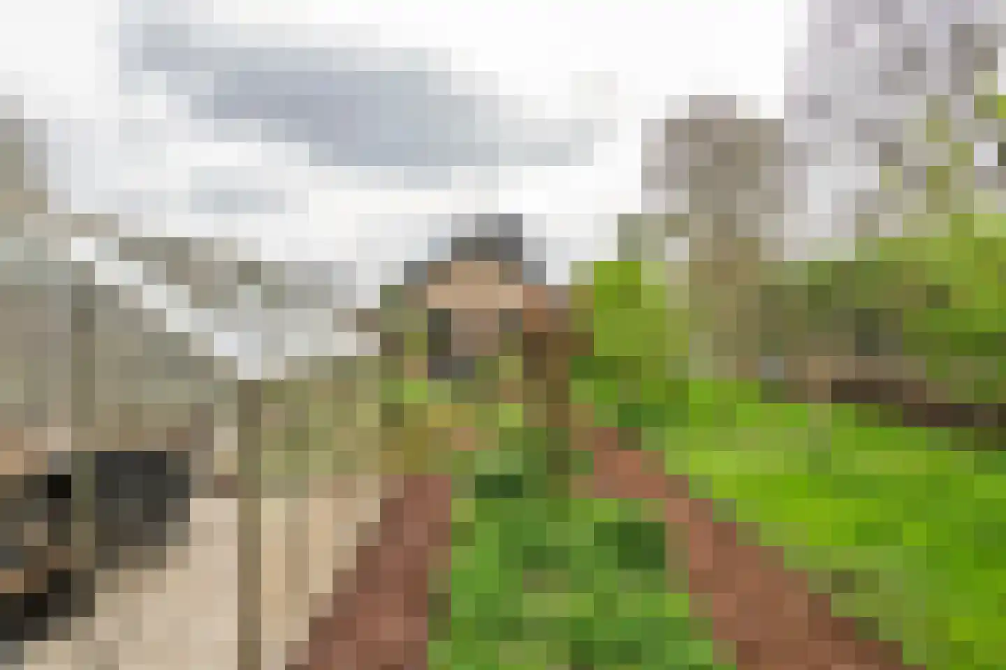 Lingedijk 127 Geldermalsen thumbnail 43
