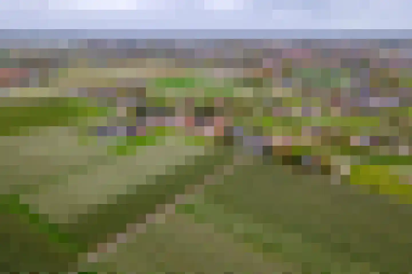 Lingedijk 127 Geldermalsen thumbnail 59