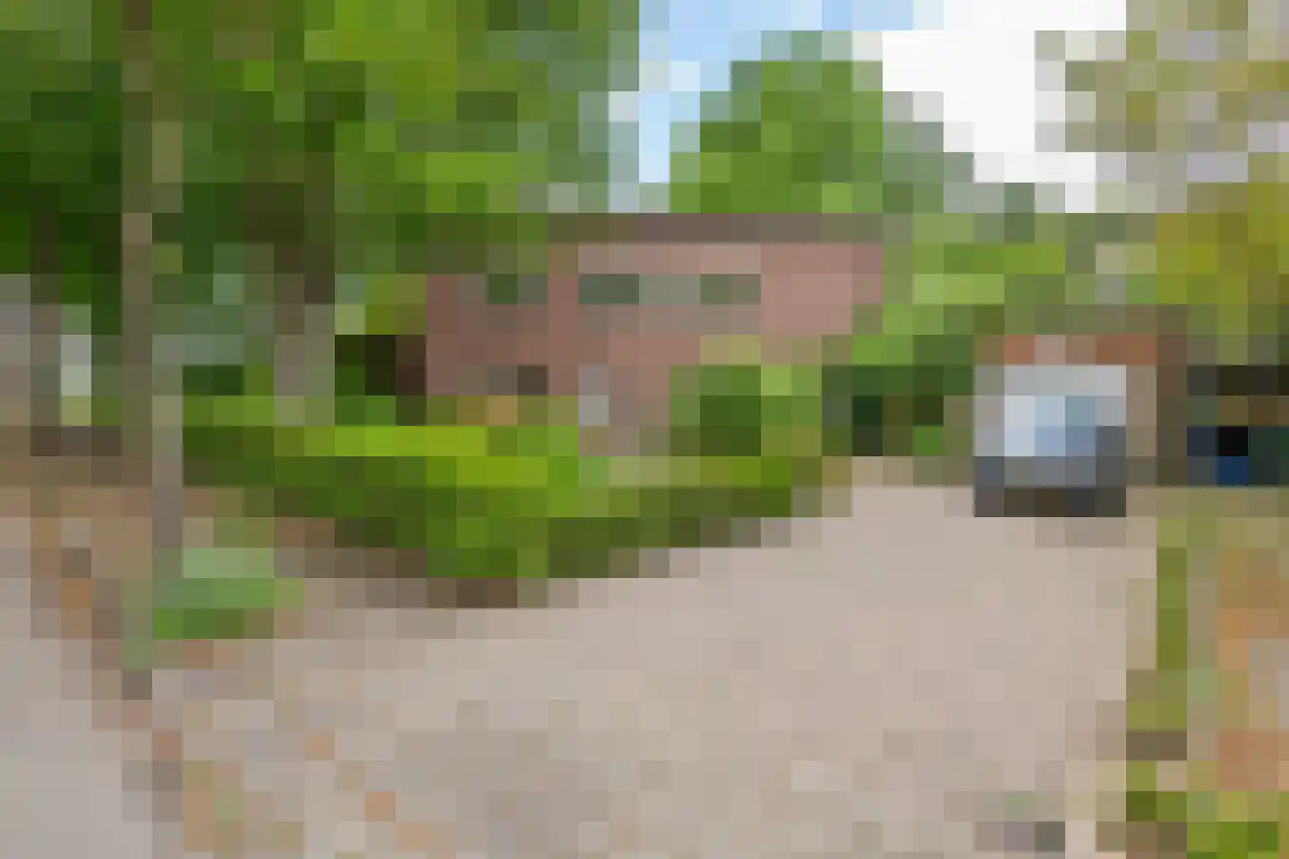 Lingedijk 142 Tricht
