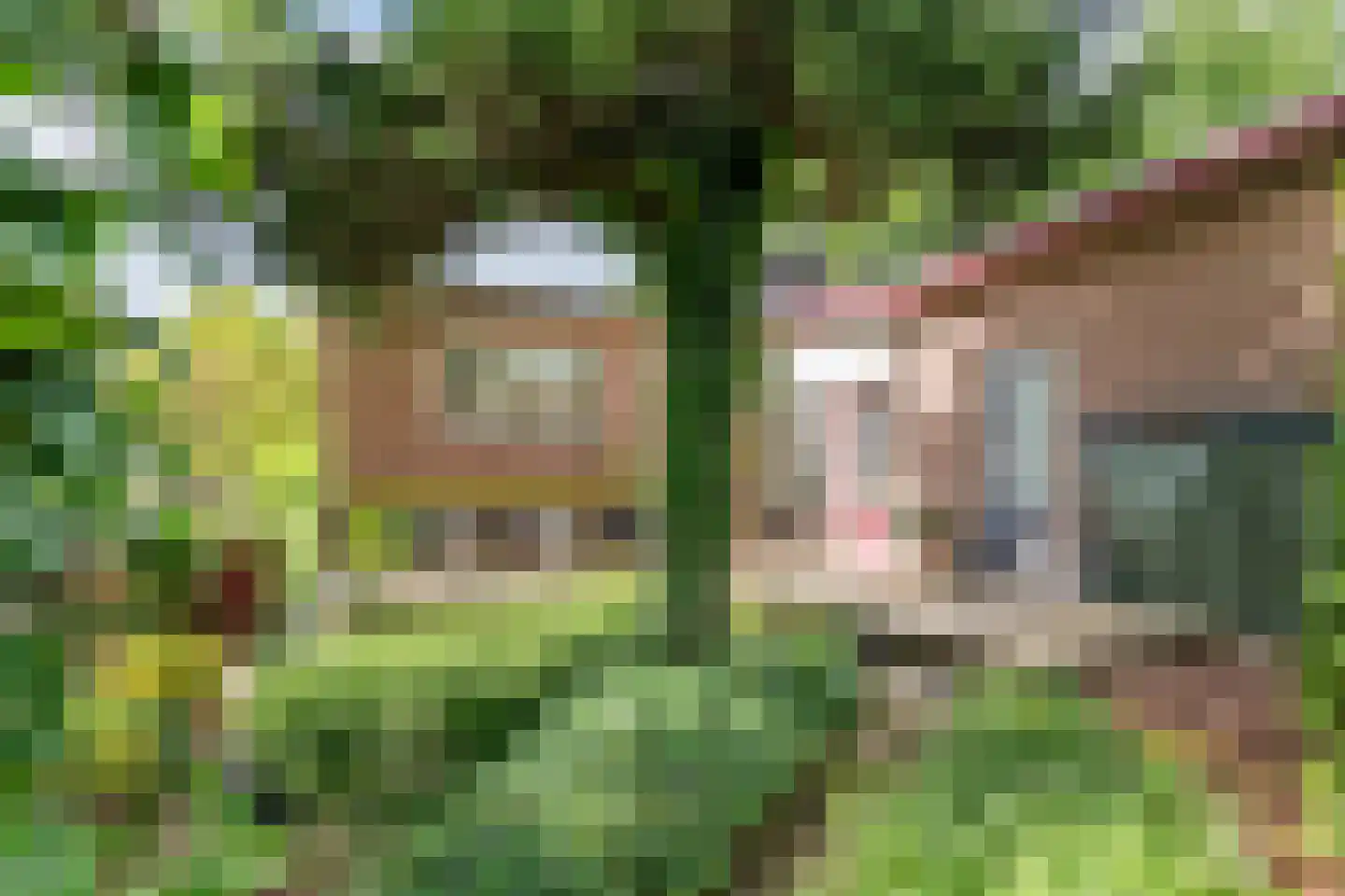 Lingedijk 142 Tricht thumbnail 36