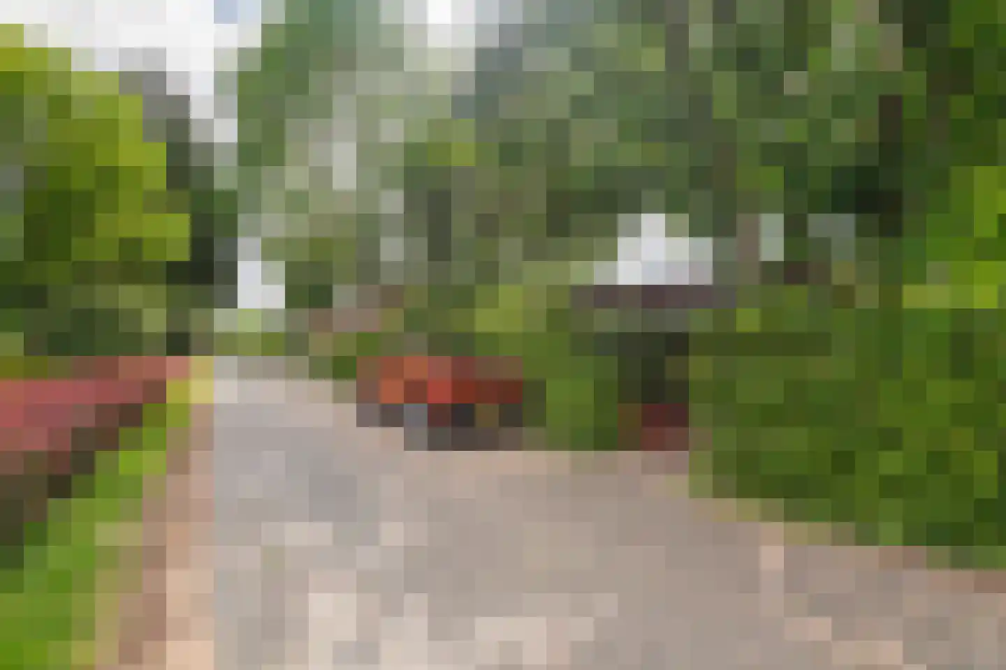 Lingedijk 142 Tricht thumbnail 43