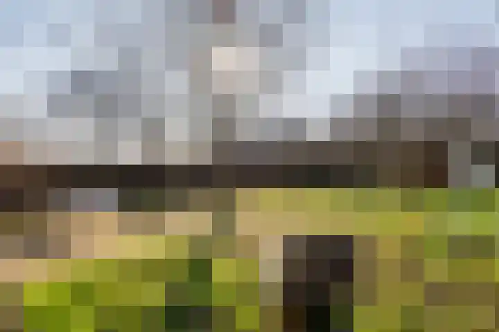Lingedijk 151 Geldermalsen thumbnail 56