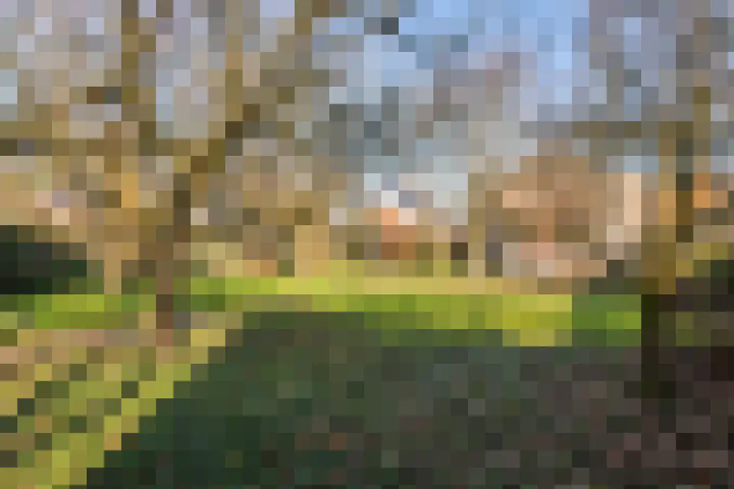 Lingedijk 151 Geldermalsen thumbnail 60