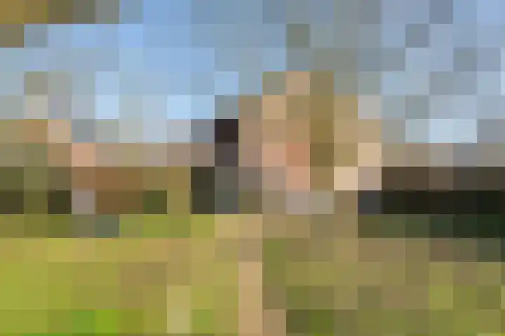 Lingedijk 151 Geldermalsen thumbnail 61