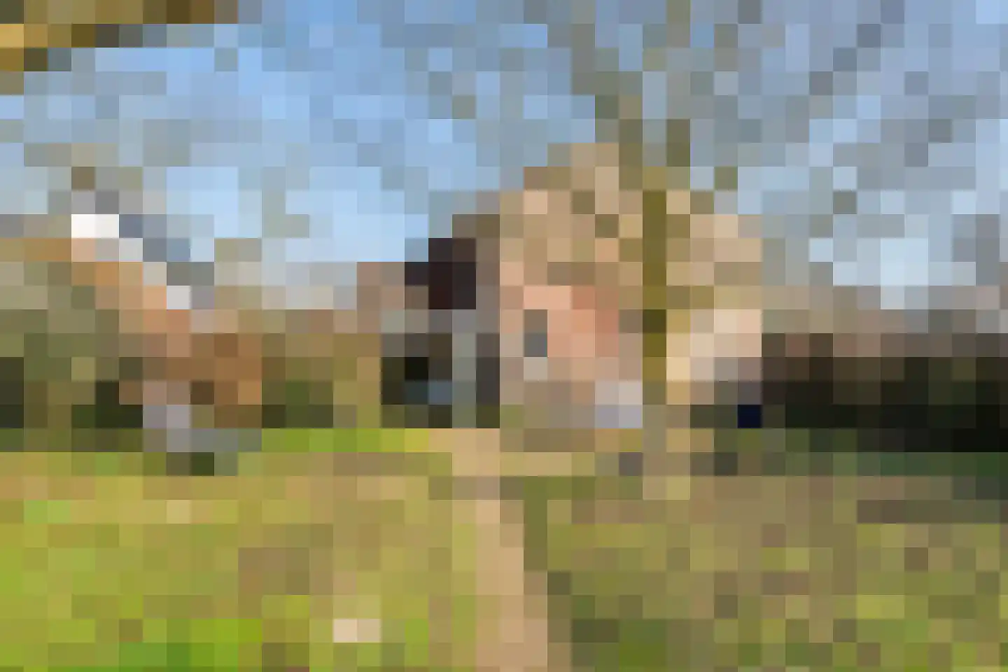 Lingedijk 151 Geldermalsen thumbnail 61