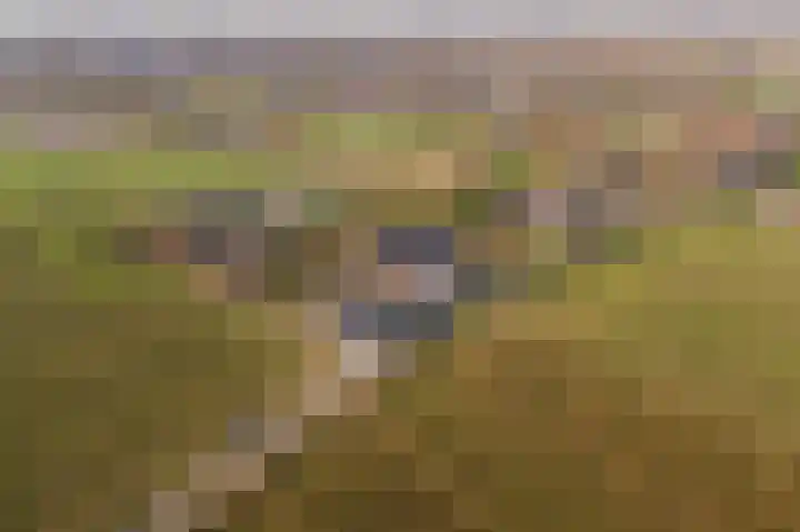 Lingedijk 151 Geldermalsen thumbnail 67