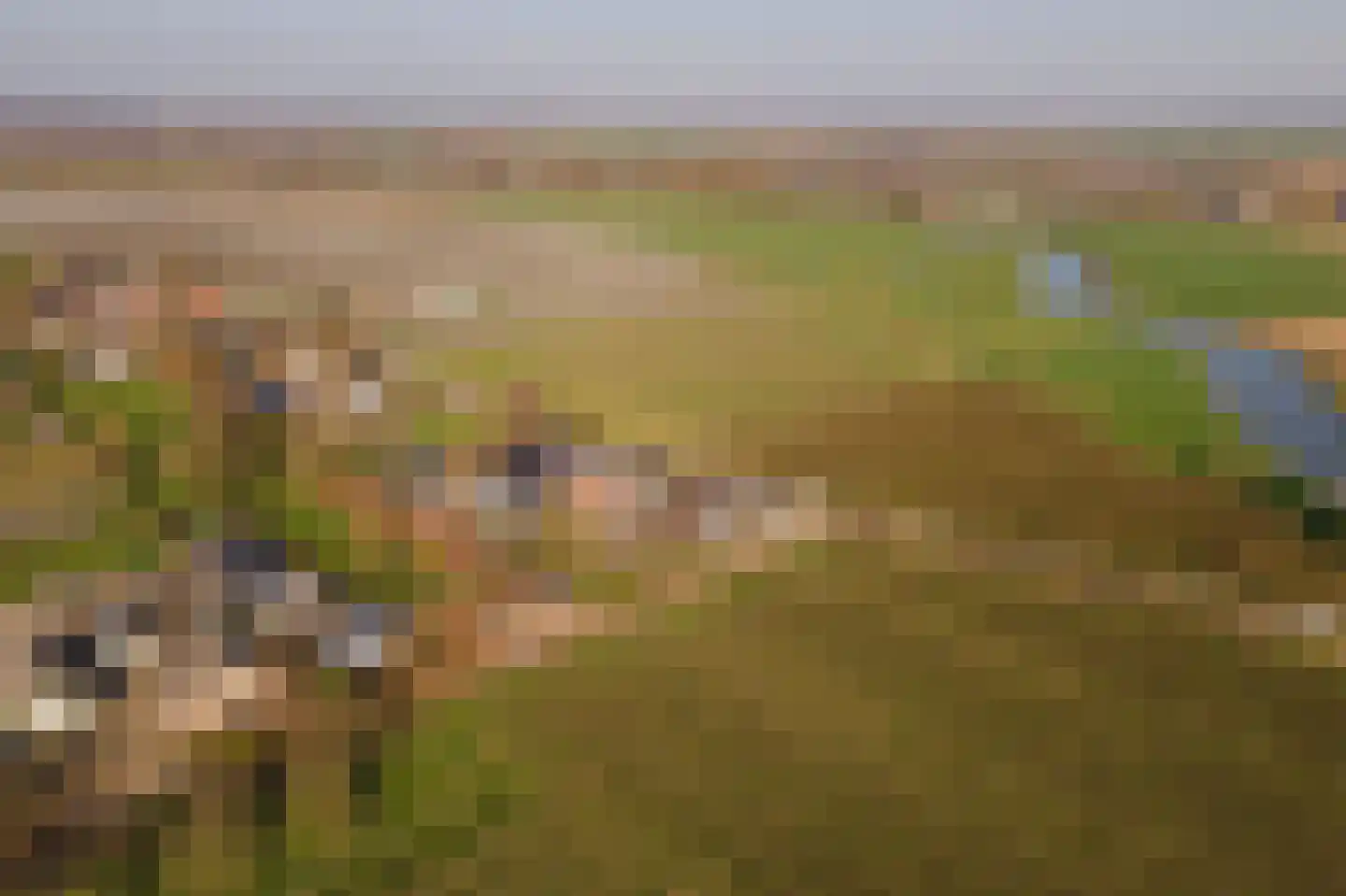 Lingedijk 151 Geldermalsen thumbnail 68
