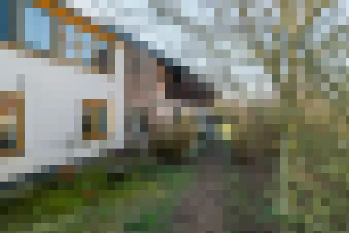 Lingedijk 151 Geldermalsen thumbnail 7