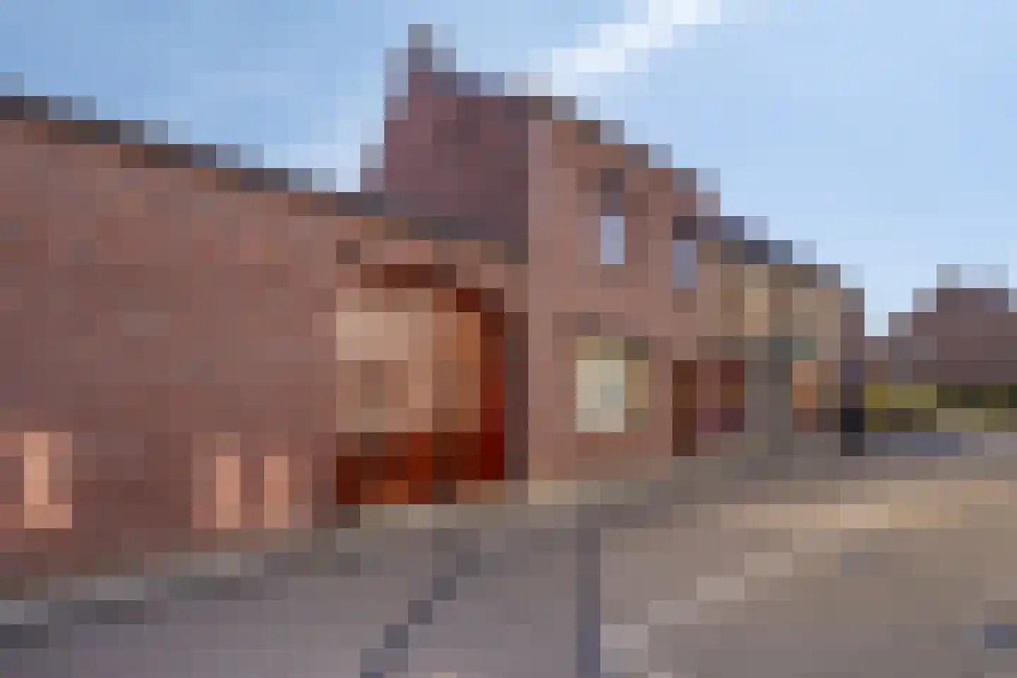 Lingedijk 179 Oosterwijk thumbnail 19
