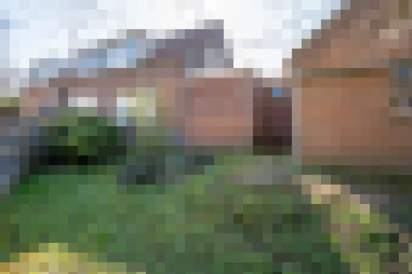 Lingedijk 179 Oosterwijk thumbnail 31