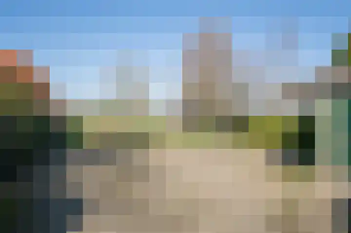 Lingedijk 179 Oosterwijk thumbnail 6
