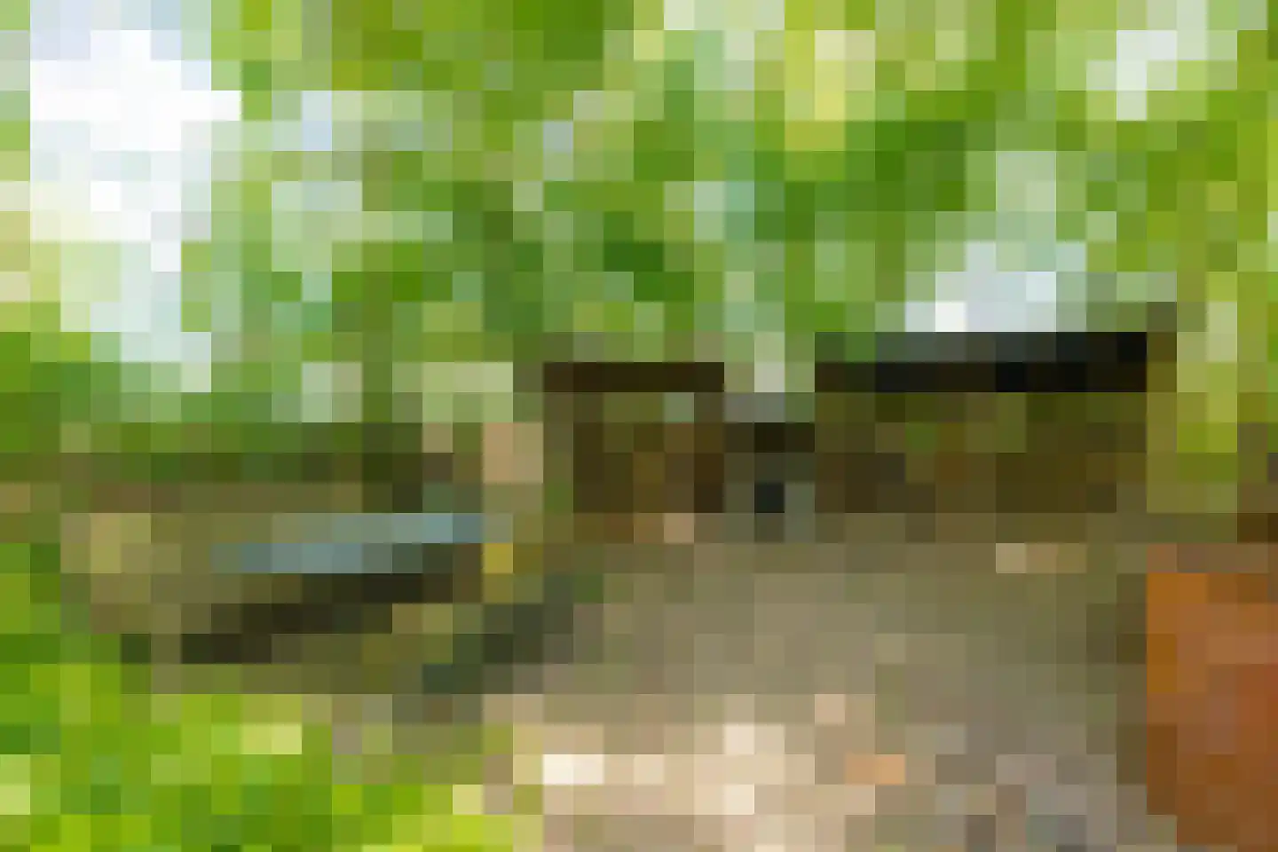 Lingedijk 22 Acquoy thumbnail 31
