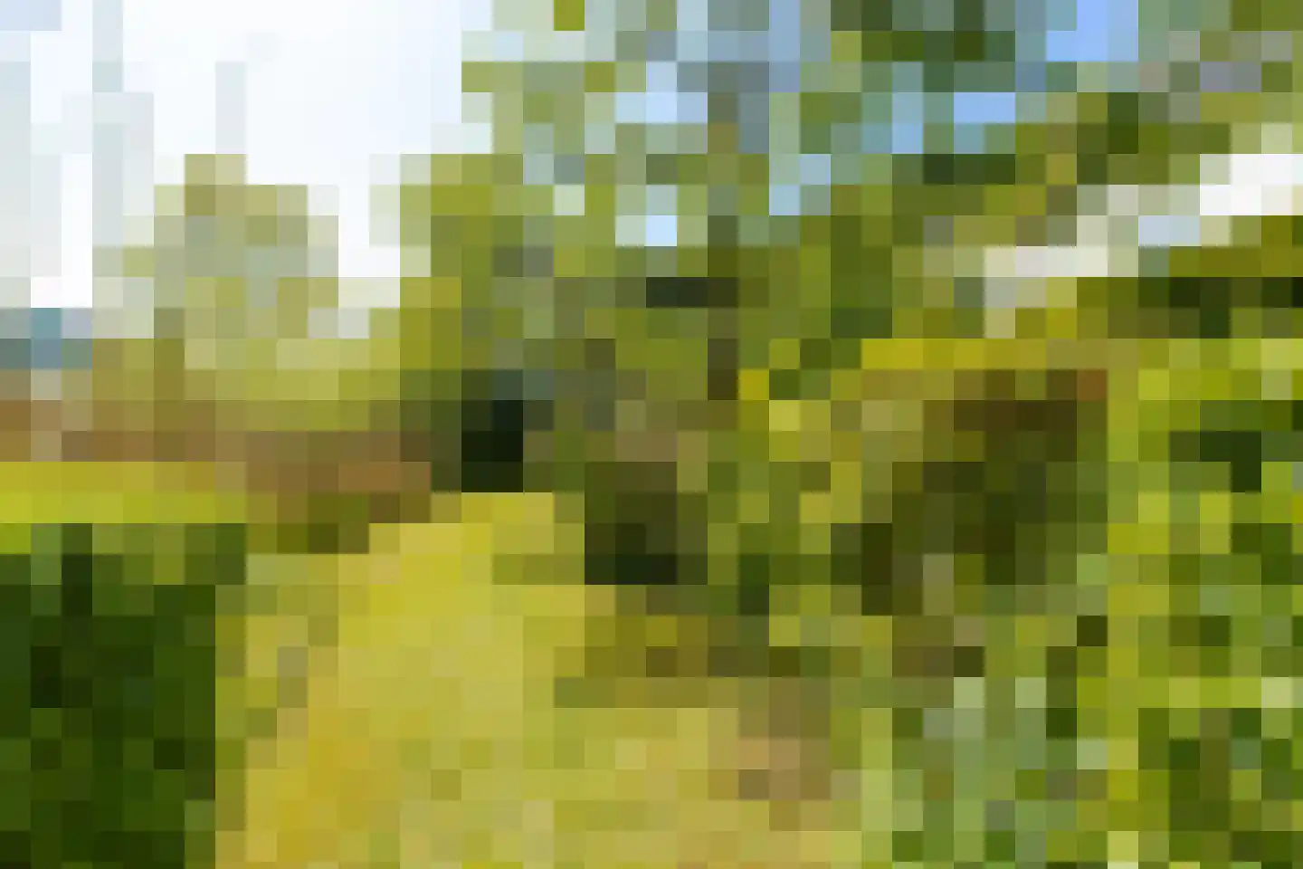 Lingedijk 22 Acquoy thumbnail 32