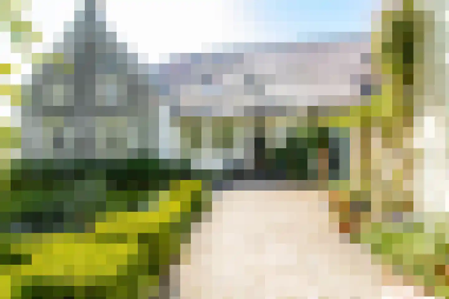 Lingedijk 22 Acquoy thumbnail 33
