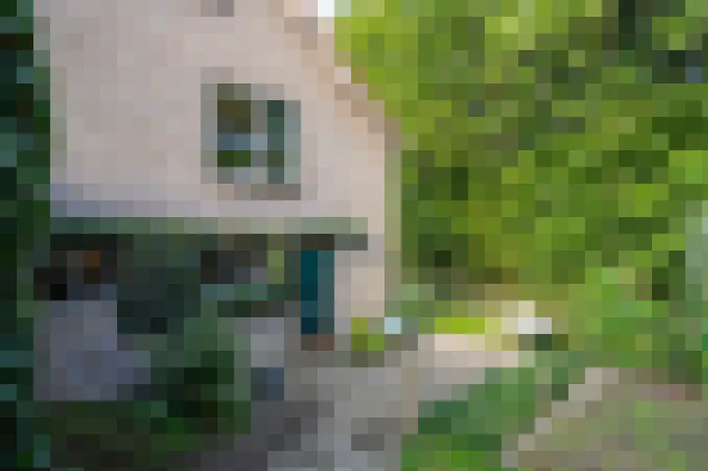 Lingedijk 26 Acquoy thumbnail 36
