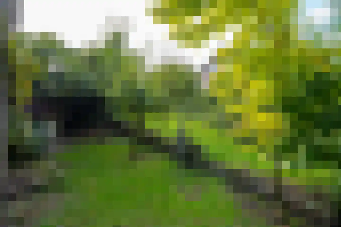 Lingedijk 26 Acquoy thumbnail 38