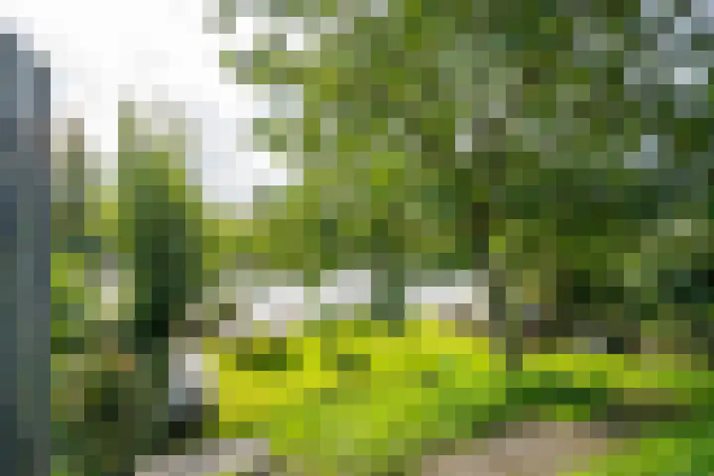 Lingedijk 26 Acquoy thumbnail 4