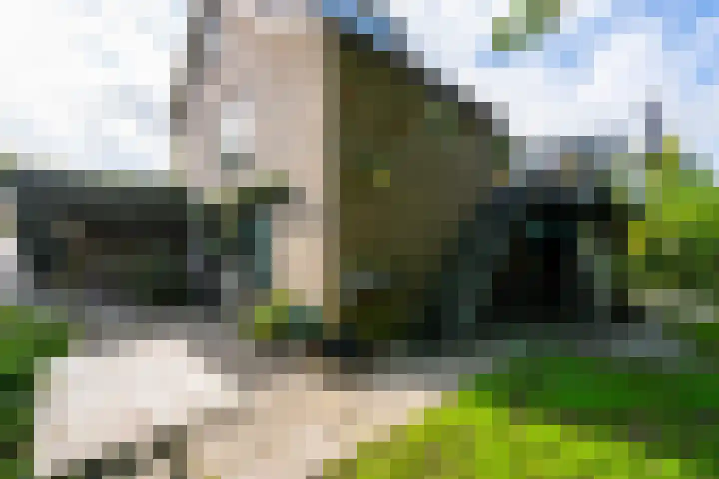 Lingedijk 26 Acquoy thumbnail 5