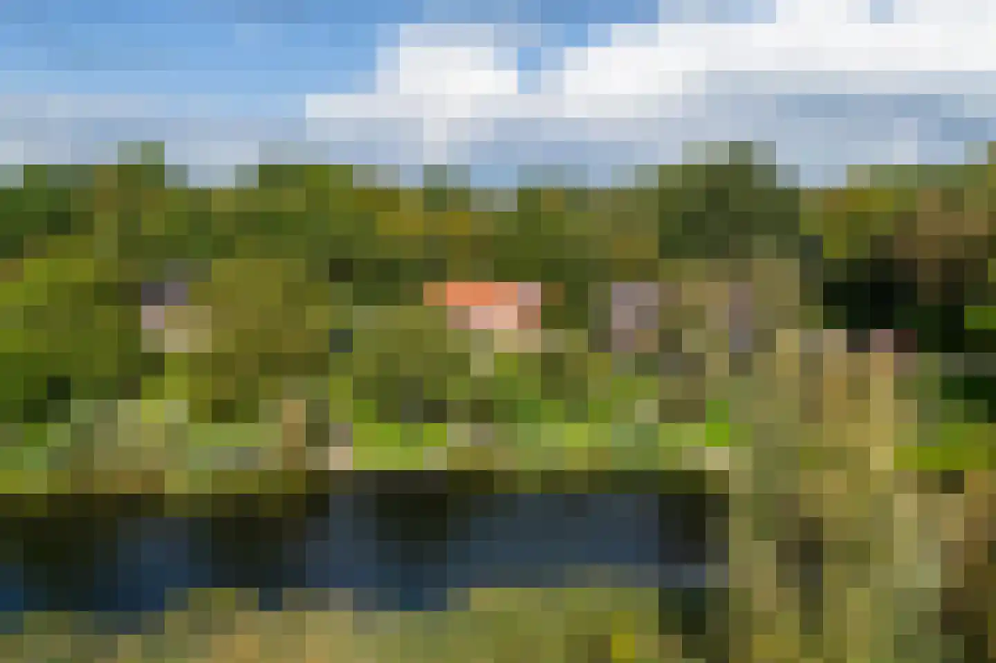 Lingedijk 26 Acquoy thumbnail 7
