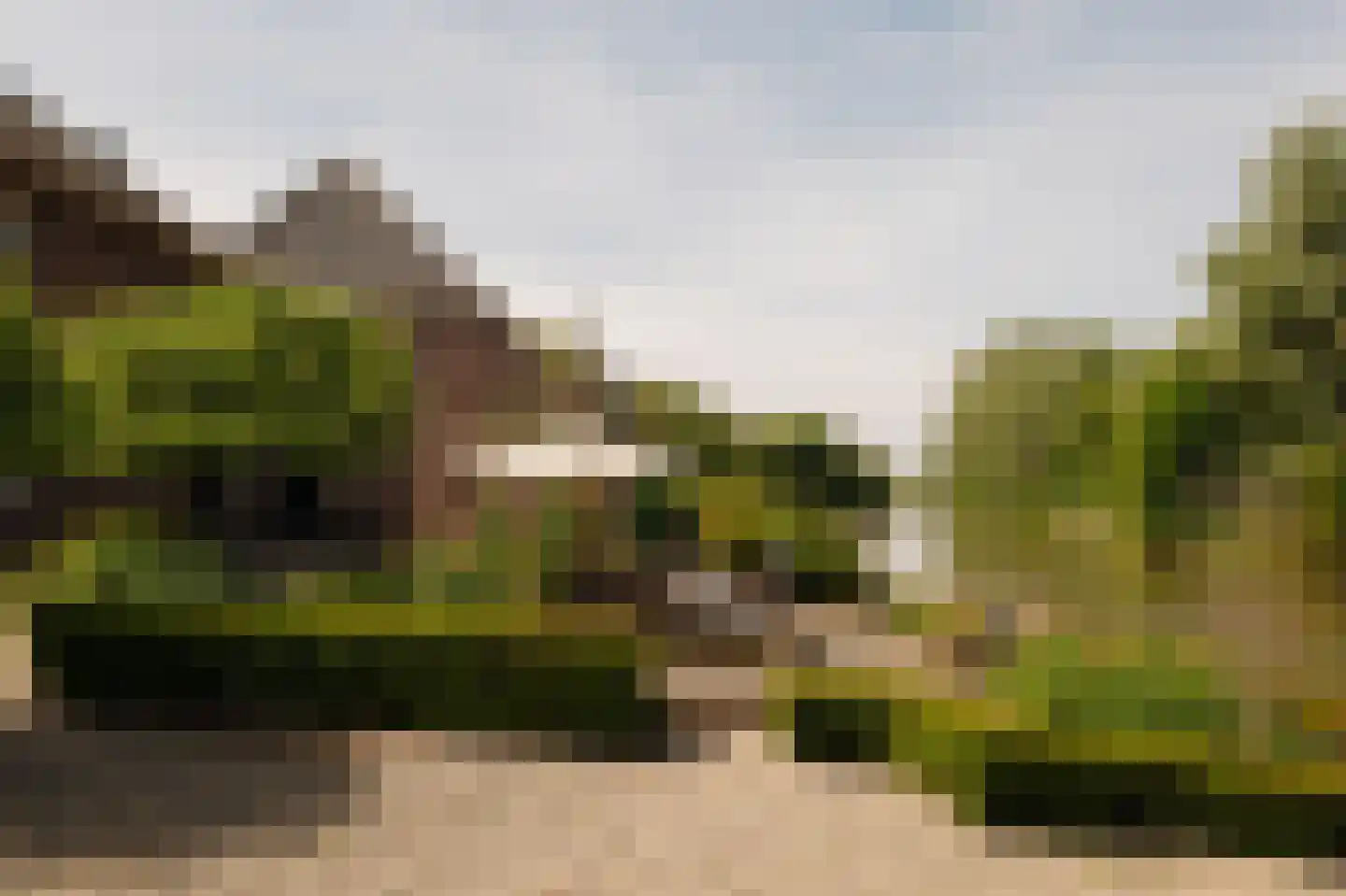 Lingedijk 30 Wadenoijen thumbnail 17