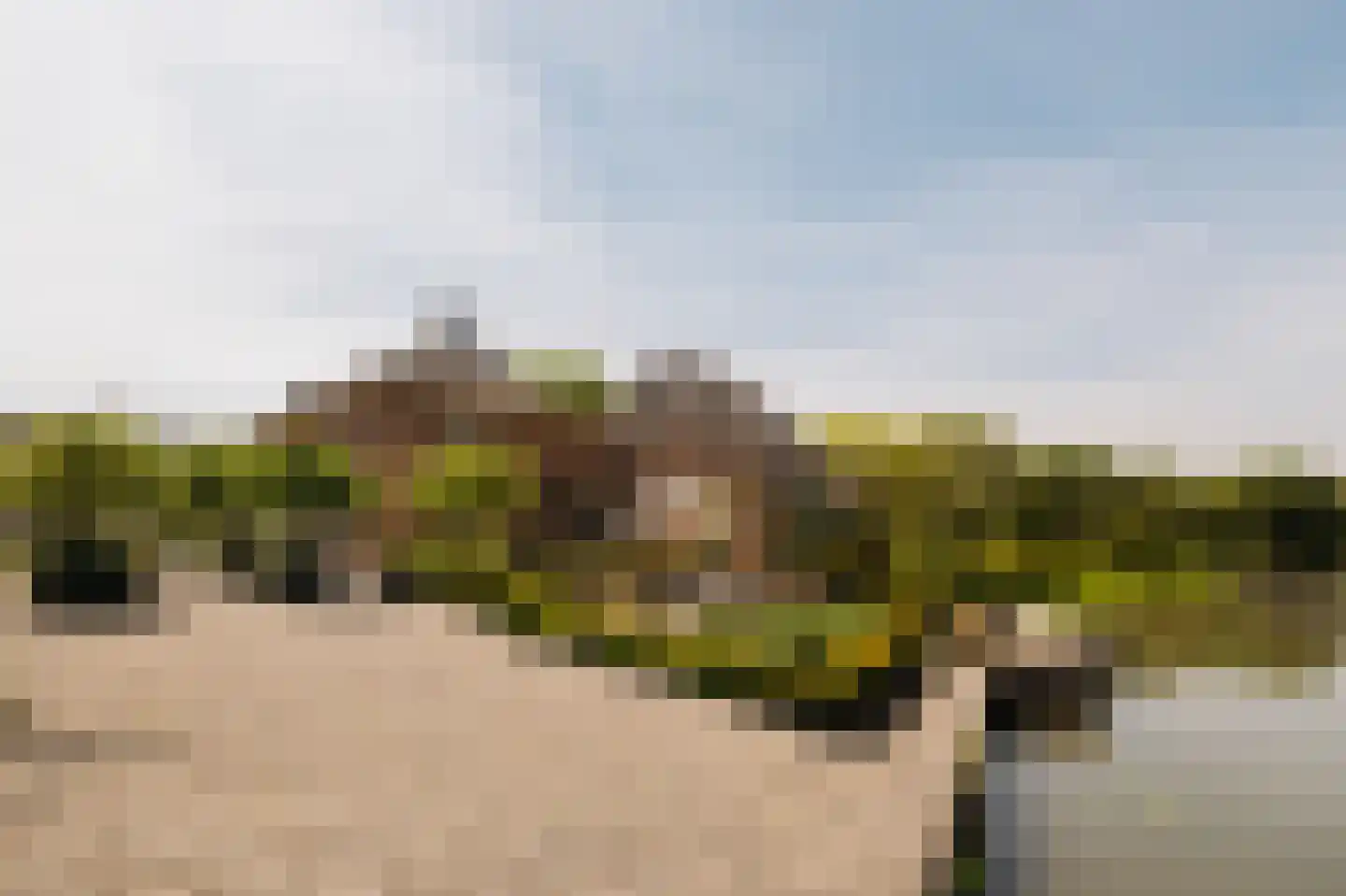 Lingedijk 30 Wadenoijen thumbnail 19