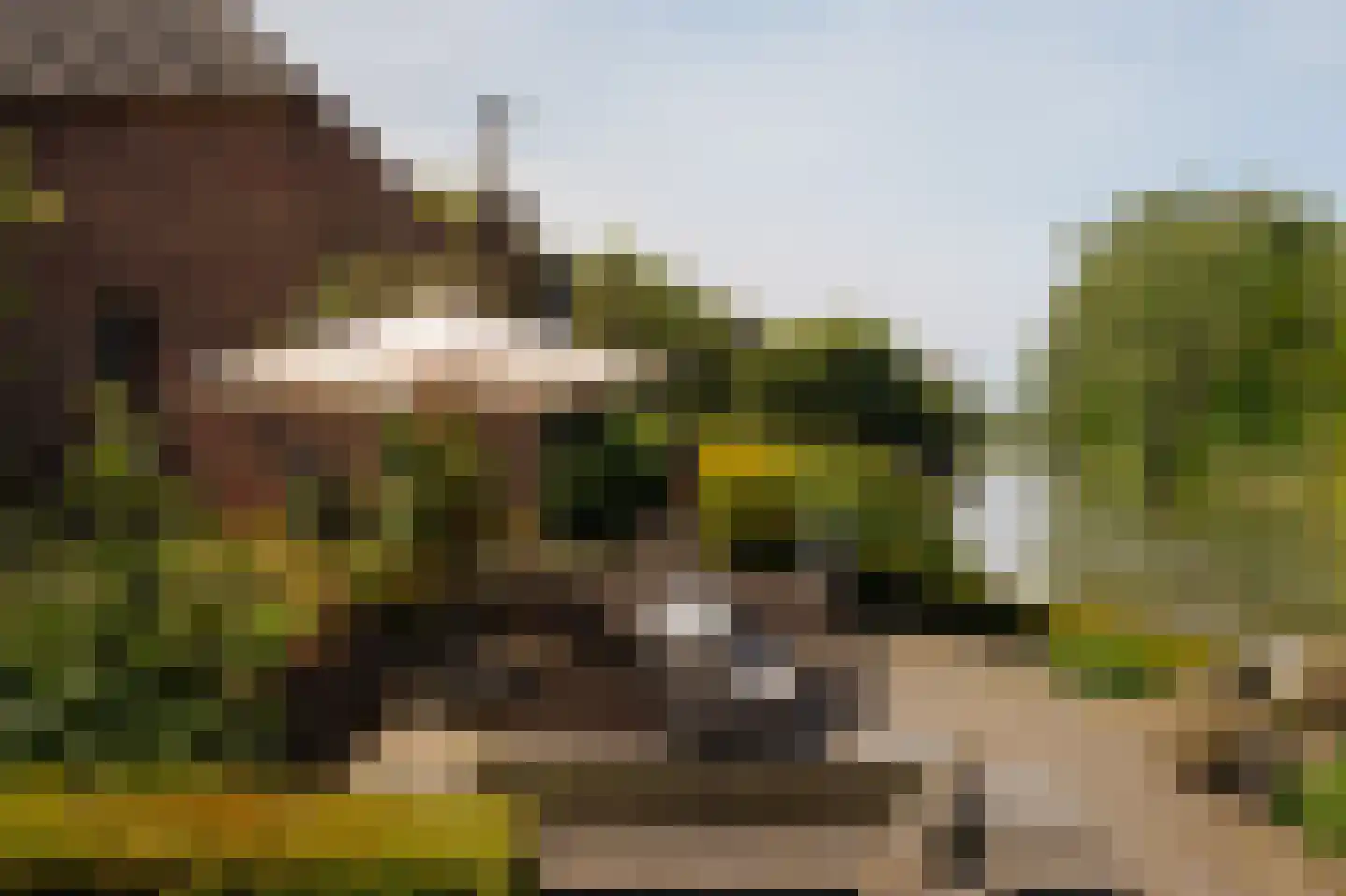 Lingedijk 30 Wadenoijen thumbnail 20