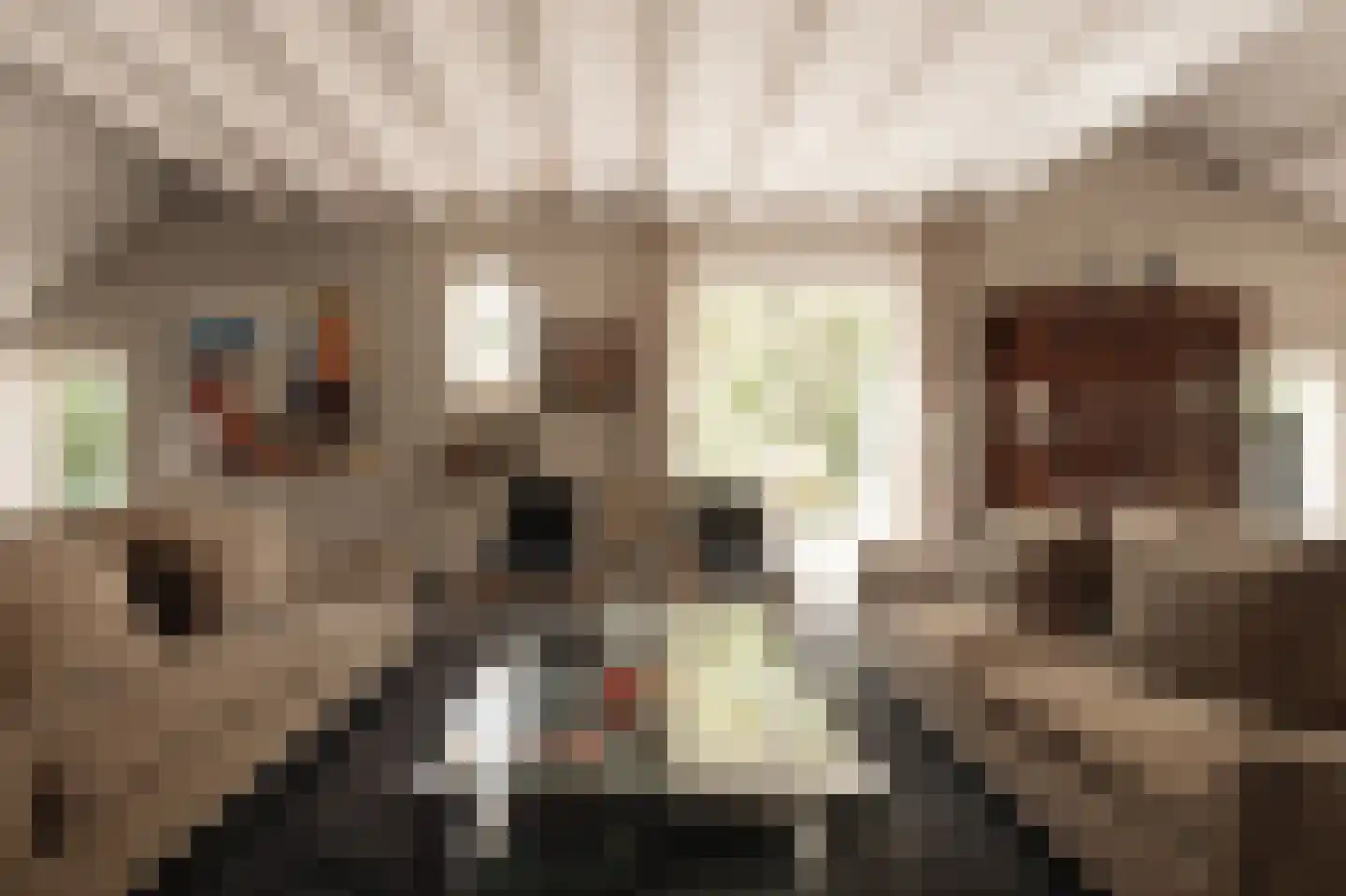 Lingedijk 30 Wadenoijen thumbnail 4